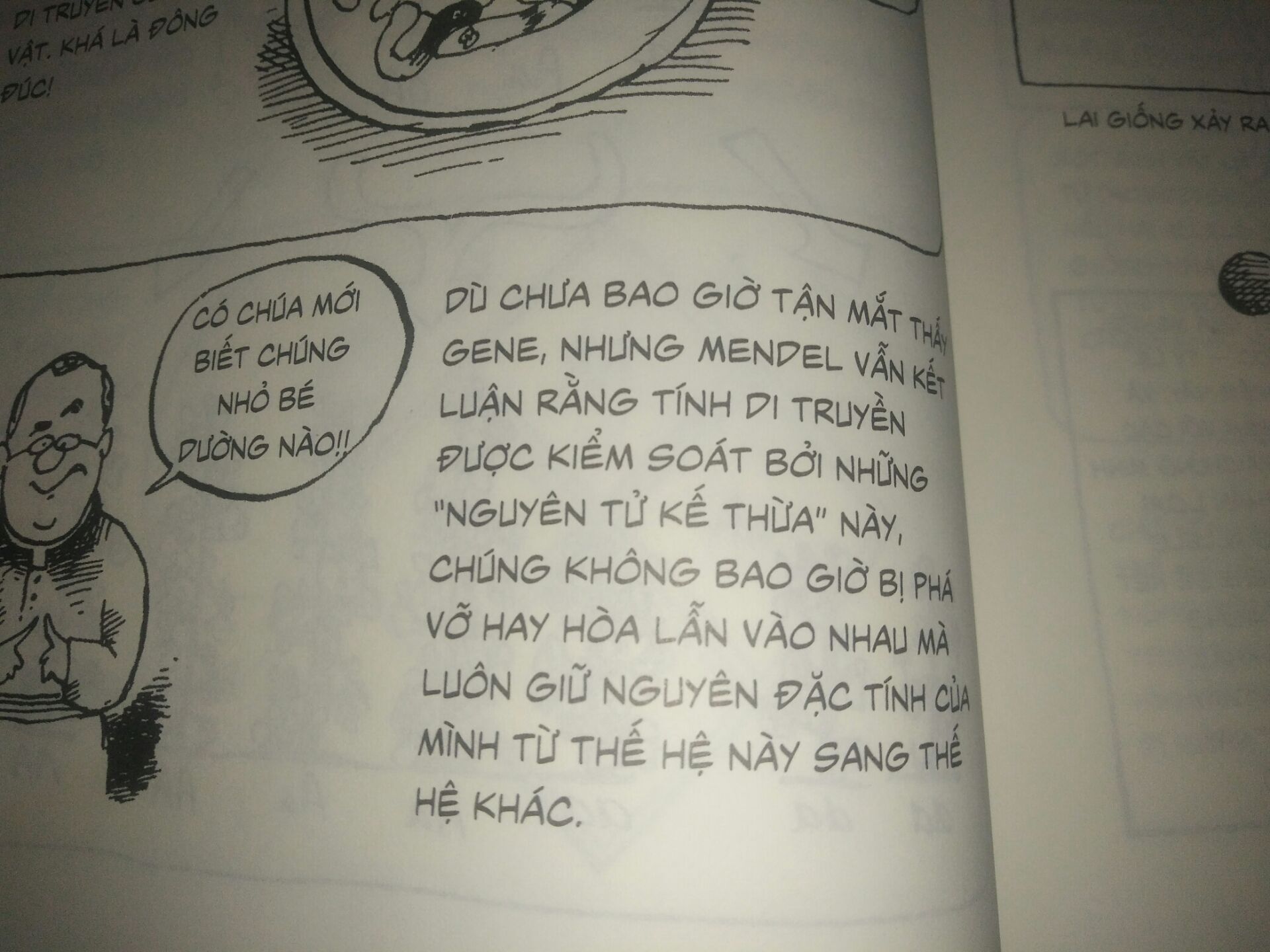 Nhìn bề ngoài thì sách mới, không bị hư hỏng gì. Còn về nội dung thì sách kể về quá trình tìm ra sự di truyền, nội dung cơ bản của di truyền học. Hơn nữa sách còn có nhiều hình ảnh minh họa thú vị, dễ hiểu.Tuy nhiên, có một số phần người dịch dịch không sát với chương trình Sinh học của sgk. 
VD như là trong sgk ghi là ''Nhân tố di truyền'' thì sách này ghi là '' Nguyên tử kế thừa'', ''nhân thực'' thì ghi là ''nhân chuẩn''...
Tuy nhiên vì đây là tài liệu nước ngoài nên có thể hiểu được, dịch như vậy cũng là quá tốt rồi. Cuối cùng, mình xin gửi lời cảm ơn đến Tiki và các tác giả của cuốn sách vì đã đem đến 1 sản phẩm tuyệt vời. Cảm ơn rất nhiều ạ!