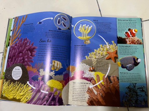 Nhiều kiến thức thú vị. Hình ảnh đẹp. Nhưng gáy sách có vẻ không được chắc chắn lắm. Tiki giao hàng cực nhanh.