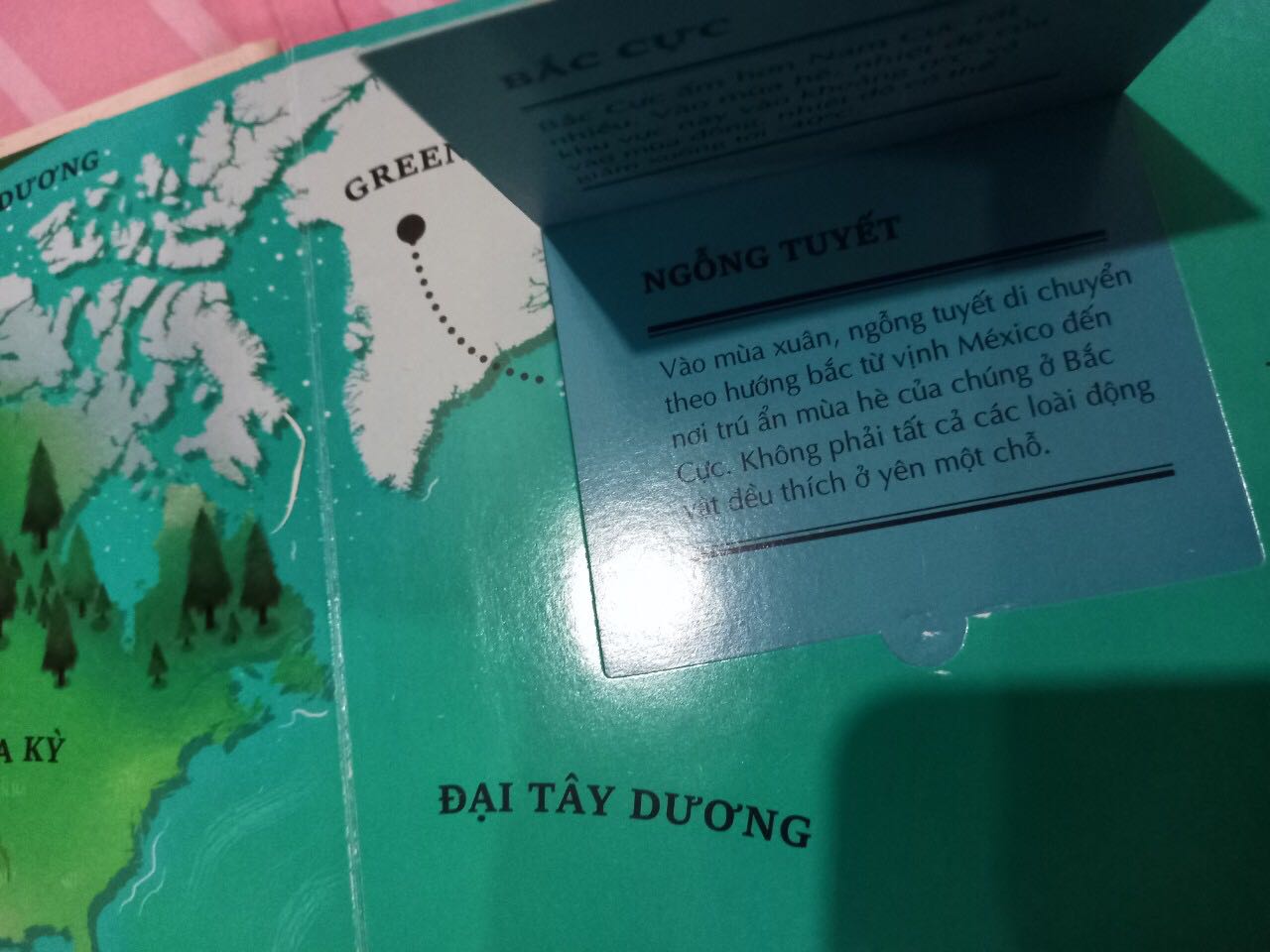 Sách bị hư hại, cũ. Gần như bung gáy từng trang. Lỗi trên trang, phần lật mở rách, trầy. Cần đổi trả lại.
