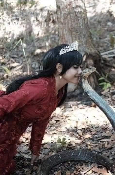 Khô bò ngon, đóng gói tốt! Và giá cả quá rẻ so với sản phẩm nhận đc