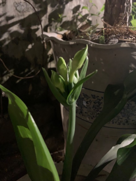 Sách hay và đáng mua nhé các bác.