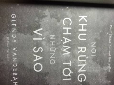 Câu chuyện rất hay, tác giả cho ta nhận thấy con bé là người ngoài hành tinh nhưng rồi gần cuối sách lại mở ra sự thật về con bé nhưng rồi thành mớ bòng bong đọc bị cuốn theo cứ tưởng khoa học viễn tưởng nhưng lại không phải. 3 nhân vật khác là Jo, Gabe và Tabby đều là người tốt giữ Hộ và Gabe là 1 couple nhưng họ rất êm đẹp lúc đầu rồi xảy ra mâu thuẫn rồi lại trở lại thắm thiết, thứ tình cảm lên xuống dập dờn như sóng vỗ vậy nhưng cực kì hay. Jo là cô gái bị mắc ung thư phải cắt bỏ buồng trứng và ngực nhưng điều đó không làm cô nản chí và cô cũng đã tìm đc người yêu cô và yêu cả căn bệnh của cô. Đáng để đọc lắm 9,5/10