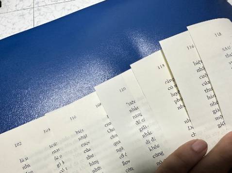 Một quyển sách có vấn đề: đang đọc trang 105, lật qua thành 116, xong quay về 107. Thế trang 106 ở đâu NXB ơi? 
Nội dung sách đến trang 105 vẫn đang hay nhưng trải nghiệm như vậy lại mất hứng thú.