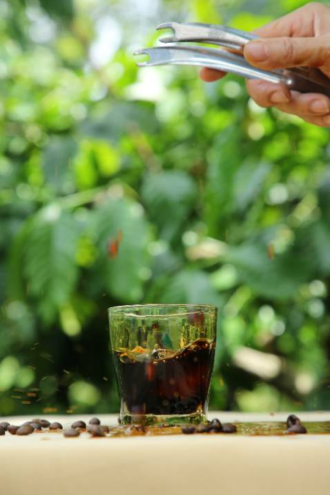 Rất phù hợp cho pha phin, uốg sữa hoặc với đường rất ngon. Cà phê chất lượng cao nhưng giá cả phải chăng.