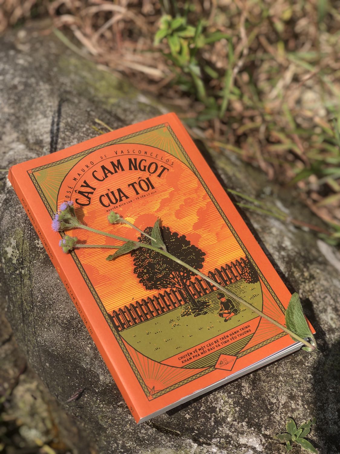 Có những người bước đến, họ lấp đầy hạnh phúc vào từng vết nứt trong tim, khiến chúng được an ủi và chữa lành. Nhưng rồi họ lại ra đi, làm tan vỡ trái tim người ở lại….
Câu chuyện bắt đầu bằng sự vui vẻ, nghịch ngợm của một cậu bé mang tên Zezé và kết thúc là một nỗi đau tột cùng khi mất đi hai người bạn quý giá nhất đời mình.
Khi đọc cuốn tiểu thuyết này, các bạn hẳn sẽ nhiều lần đau xót vì thương cảm cho cậu bé chỉ mới 5 tuổi với một tuổi thơ nhiều rạn vỡ. Nhưng các bạn cũng sẽ mỉm cười và cảm thấy yêu thương sự sống từ trong sâu thẳm tim mình. Bởi trong suốt cuốn tiểu thuyết, người với người đối xử với nhau vẫn rất đỗi dịu dàng, yêu thương và trìu mến. Cho đến khi khép lại cuốn sách, thì trái tim chúng ta lại thổn thức với một nỗi buồn vương vấn, buồn cho sự mất mát từ những yêu thương và buồn cho sự trưởng thành từ những nỗi đau, sự trưởng thành quá sớm mà không ai mong muốn…
Một cuốn tự truyện đầy cảm động, tuy đau đớn nhưng vẫn ngập tràn tình yêu thương!!!
Cảm ơn Tiki 🧡