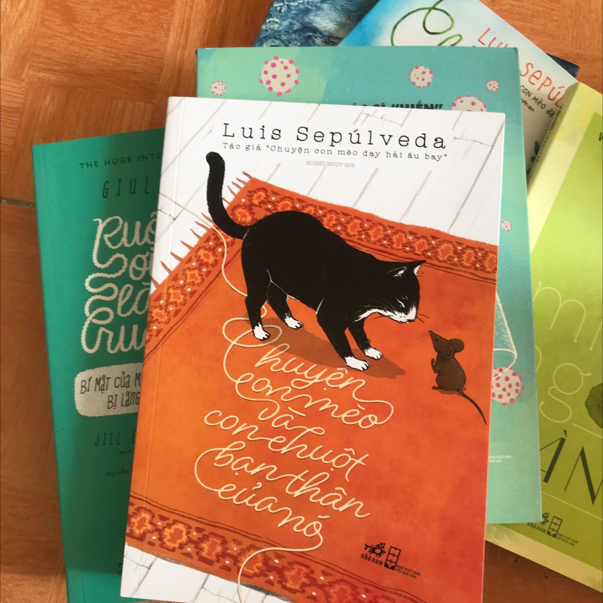 Mình luôn đánh giá cao về tốc độ giao hàng của tiki, nhưng mà tốc độ giao hàng nhanh lại đi kèm với đóng hàng cẩu thả thì thôi không cần đâu nhá. Gói hàng của mình có 8 quyển sách, 2 đồ khuyến mại được ném tùy tiện vào trong 1 cái hộp, không có bọc chống sốc. Hộp hàng giao tới tay mình thì bị thủng 1 lỗ to, không biết là do quá trình vận chuyển bị va đập hay có người cố tình cạy ra (đơn giá trị cao lại được thanh toán trước rồi nên muốn tráo hàng hay gì??). 1 trong 2 món hàng khuyến mại thì không thấy đâu, không biết là do bị rơi từ cái lỗ kia hay là đóng thiếu hàng nữa. Tóm lại là lần đặt hàng này tại tiki khiến mình rất thất vọng.
