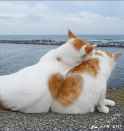 Sách mình đặt cho bố, bố mình thấy khá ưng cuốn sách và khen là bọc kĩ bìa đẹp và sạch