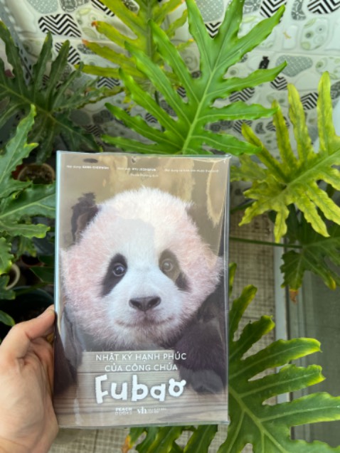 Giao hàng nhanh, đóng gói cẩn thận. Sách đẹp