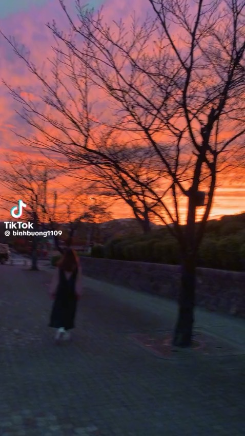 Tốt giao hàng nhanh sản phẩm đúng mô tat
R