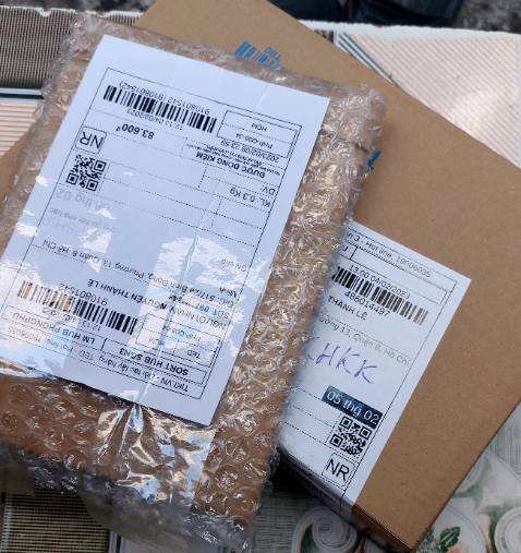 TRỒNG KHÔNG LÊN 1 HẠT NÀO, QUÁ TỆ LUÔN