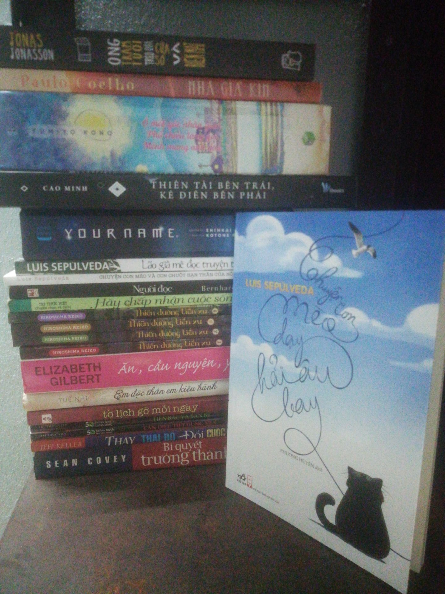 Vừa hay tin ông mất vì virus covid 19 lòng buồn quá, vẫn luôn mong sẽ mua được cuốn sách mới của ông vậy mà. Chuyện con mèo dạy hải âu bay luôn luôn là cuốn mình yêu thích nhất, lần đầu tiên biết tới quyển này là được nghe trong audio book, mình ấn tượng với câu " Chỉ những kẻ thật sự dám thì mới có thể bay". Thật đáng tiếc vì mất đi một nhà văn hài hước đầy tinh tế, cả cuốn Lão già mê đọc truyện tình nữa rất đáng để đọc, cuối cùng mong ông yên nghỉ. Rip