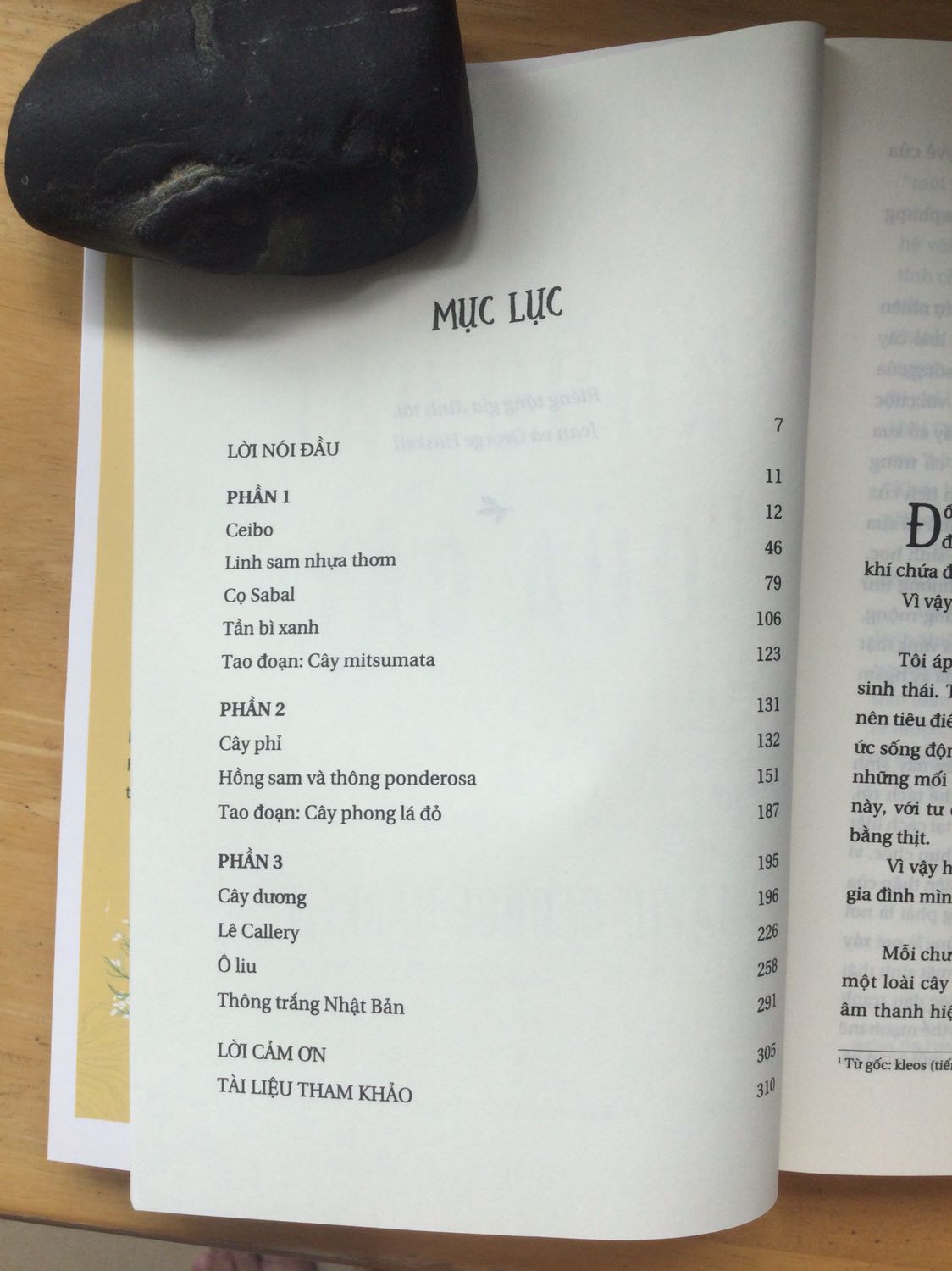 Một tác phẩm tuyệt vời đến kinh ngạc !
Trong đó :
Không có anh hay em. 
Không có tình yêu hay thù ghét. 
Không có cái tôi. 
…
Không có CON NGƯỜI. 

Chỉ có cây, có chim, có ếch, có hoa, côn trùng, và cả vi trùng.
Chỉ có mưa, có nắng, có sương mù, có hơi ẩm, có mảng tối và ánh sáng.
Chỉ có tiếng nước mưa rơi trên lá, mỗi lá to nhỏ lại vang tiếng khác nhau. Có tiếng ong ong, vù vù, ộp oạp. Có tiếng rít rít, tiếng be be. Và cả tiếng câm lặng.
Có hàng ngàn loài cây khác nhau thậm chí trên một héc ta.
KHÔNG CÓ CON NGƯỜI.

Ấy vậy mà, dưới ngòi bút của tác giả, cũng chính là người trực tiếp tiếp xúc và cảm nhận, quan sát và chứng kiến sự sống của rừng cây, đã vẽ lại một kiệt tác về CÂY. 
Khúc hát của cây.
Hết sức lãng mạn. Không phải cái lãng mạn trần tục như tình yêu đôi lứa. Cái lãng mạng thanh tao của thiên đường, cái lãng mạn tuyệt đẹp của thiên nhiên, của nguồn cội sự sống.
Hết sức mãnh liệt. Ông thể hiện một tình yêu vô vàng với thiên nhiên,Với sự sống nguyên thuỷ, với ân nhân của loài người : CÂY.
Hết sức tiểu tiết. Lời văn thật tả thực, bút lực đáng kinh ngạc, từng chi tiết nhỏ ông quan sát và vẽ lại bằng lời văn còn đẹp hơn một bức tranh.
Hết sức đáng kính. Có lẽ ông là người yêu cây, yêu thiên nhiên nhất trên đời.
10/10 điểm. Không đủ lời lẽ để diễn tả sự thán phục.