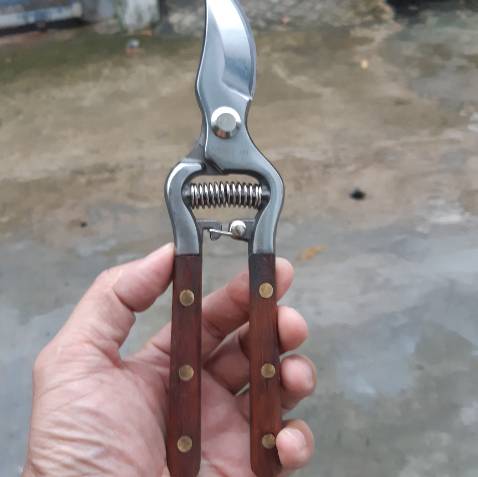 Ok
Xịn sò
Bến lắm àh
Chắc chắn 
Quá rẻ
Hôm trước mua ngoài 350k mà kg bằng hàng này 
Shop ok
Tốt