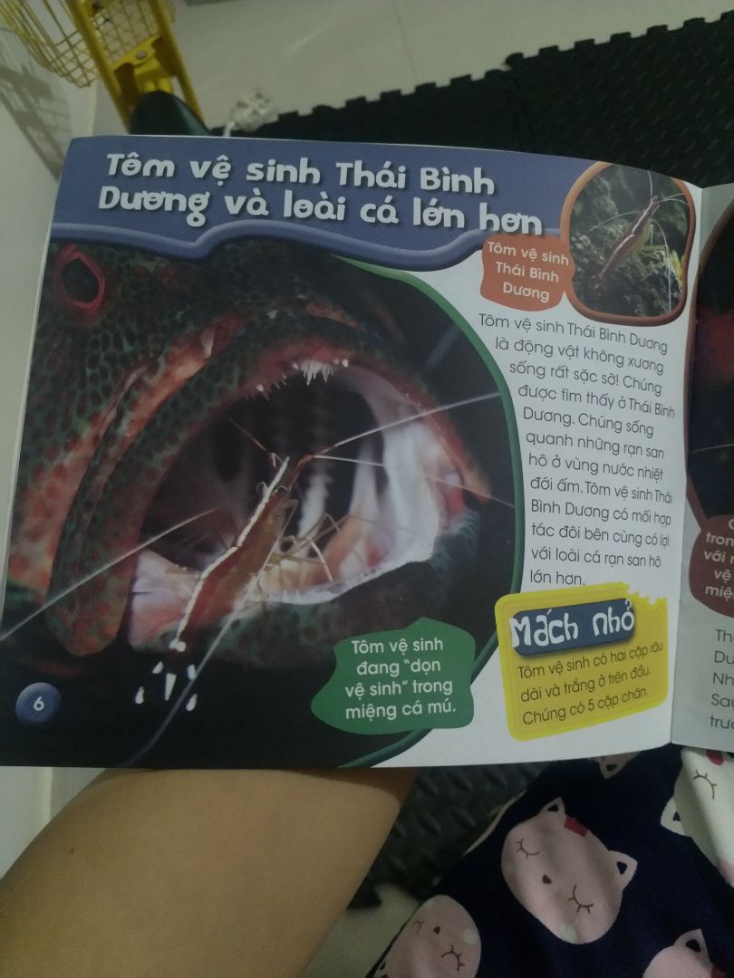 Nội dung ok ,sách đẹp ,mua đc giá rẻ ,cam on shop và tiki ,giao hàng nhanh,bé nhà mình rất thích