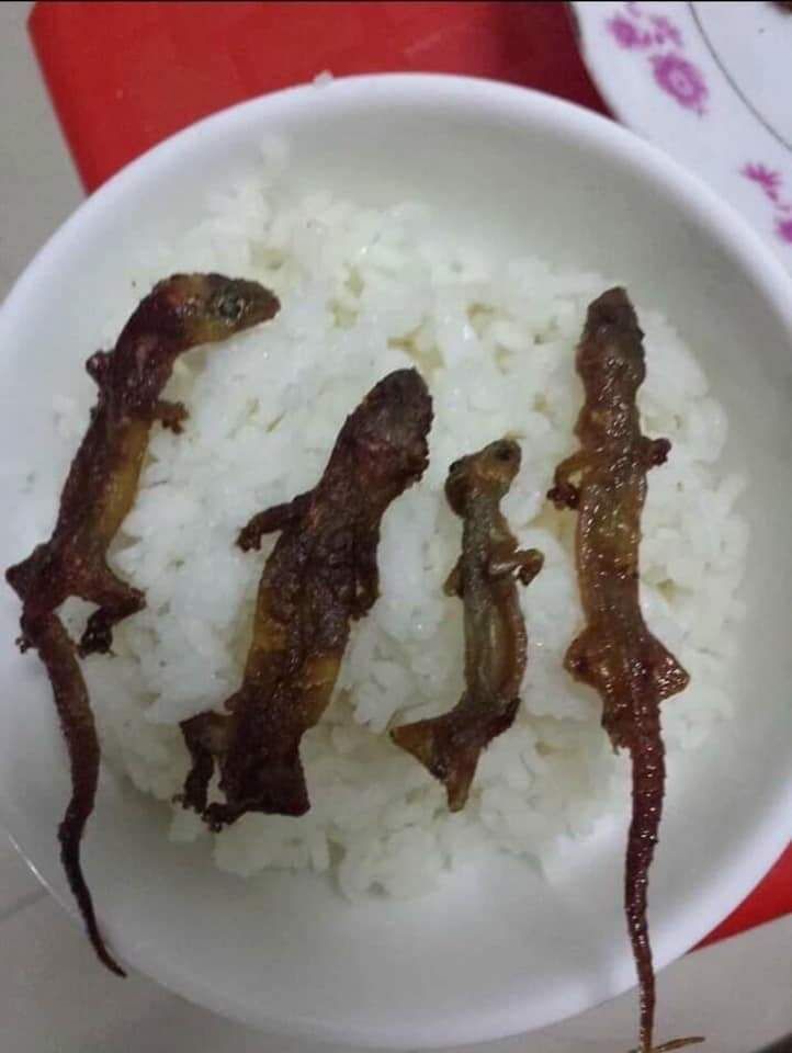 Sản phẩm tạm được đôi khi khá rít không được trơn tru khi mở nên khá vất vả do hoàn thiện kém cao cấp .Chấp nhận vì dùng cả được chữ A.Nếu không cần chữ A nên mua thang thẳng đỡ thao tác khó khăn .Tốt nhất là mua một thang rút thẳng và 1 thang gấp chữ A.