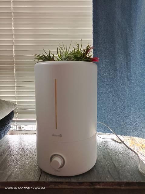 Mình đặt ở cửa sổ, thấy không khí trong phòng cũng dễ chịu hơn Mình đặt ở cửa sổ, thấy không khí trong phòng cũng dễ chịu hơn