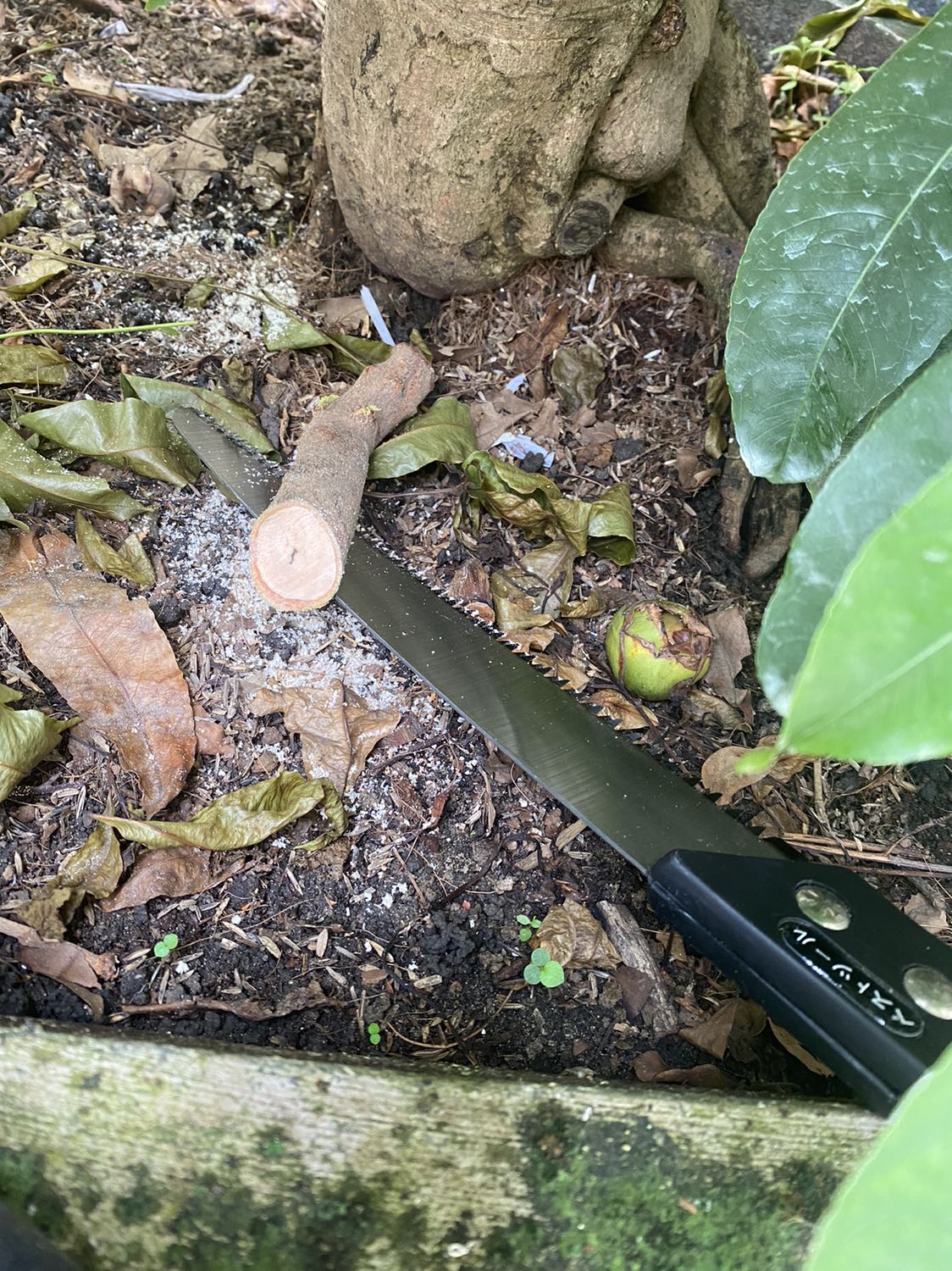 Sản phẩm đạt chất lượng như ý muốn