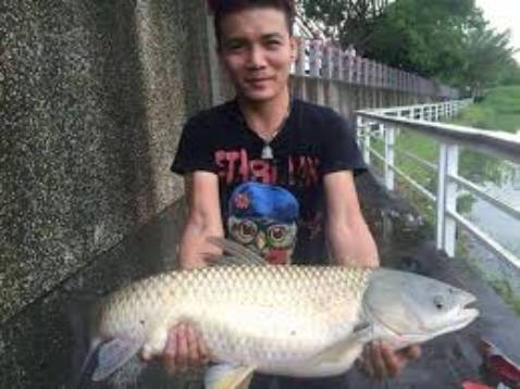 Hàng khá là đẹp các bạn nên mua thử nhé mình cảm thấy rất hài lòng Hàng khá là đẹp các bạn nên mua thử nhé mình cảm thấy rất hài lòng