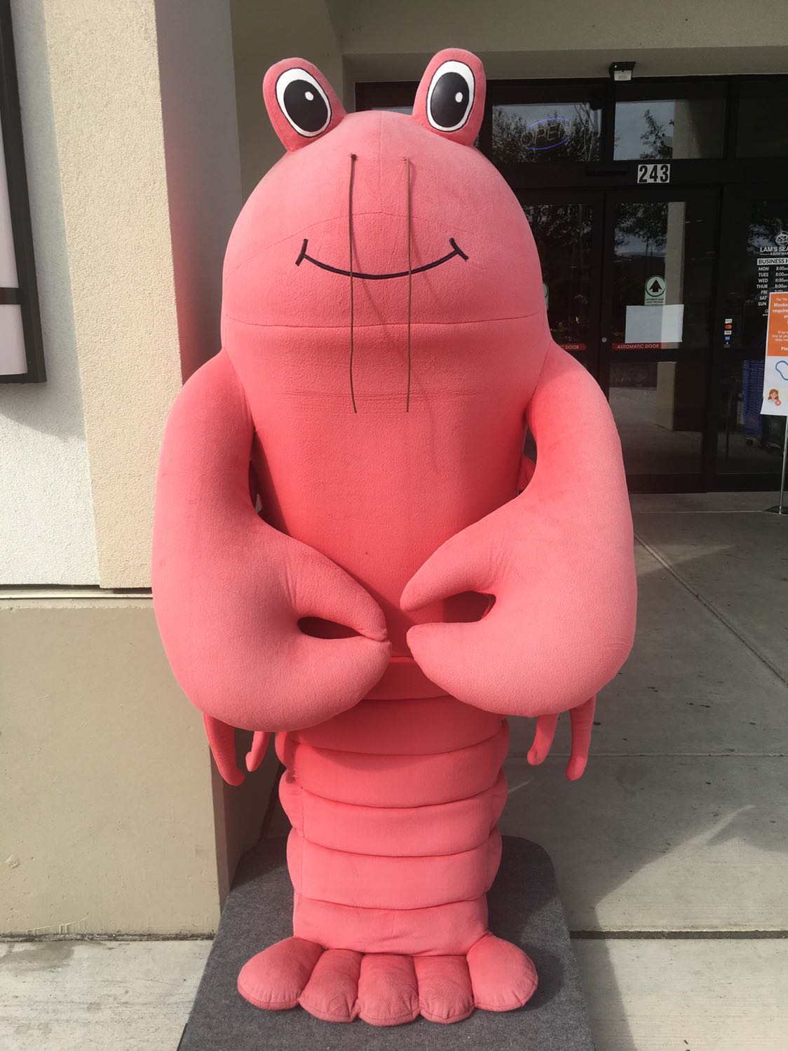 Mua cho daddy mình uống. Daddy lớn tuổi dồi