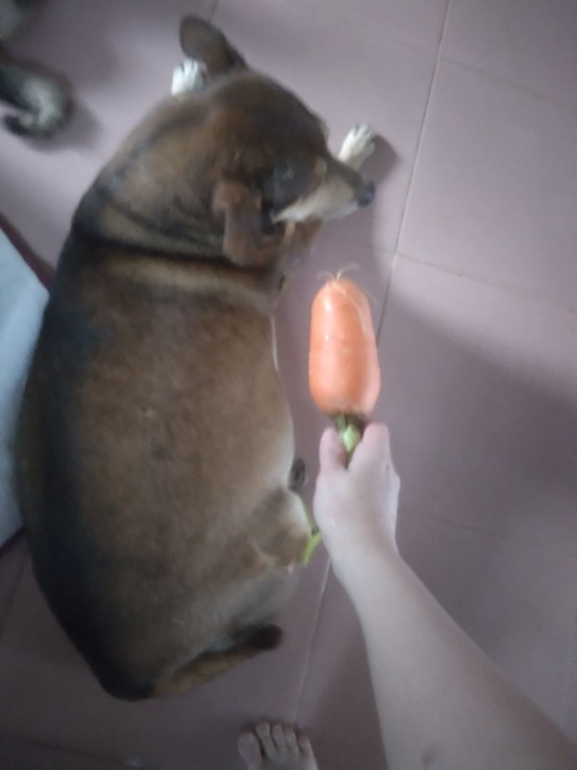 Sp đẹp. Xài tốt hay ko thì mình chưa bít