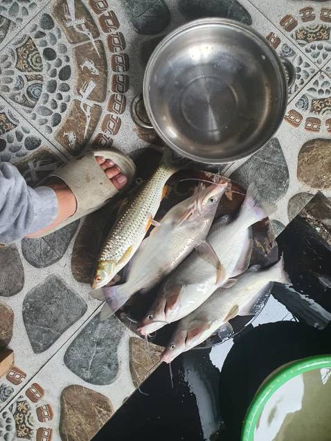 Hàng ok bao bọc kĩ và đúng hạn giao cảm ơn shop đã có tâm như thế.