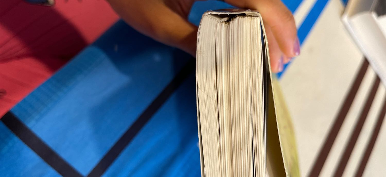 Chưa đọc hết cuốn sách mà bìa sách muốn rớt ra luôn rồi. Bên đây bán sách giả hay sao mà chất lượng tệ đến bực mình.