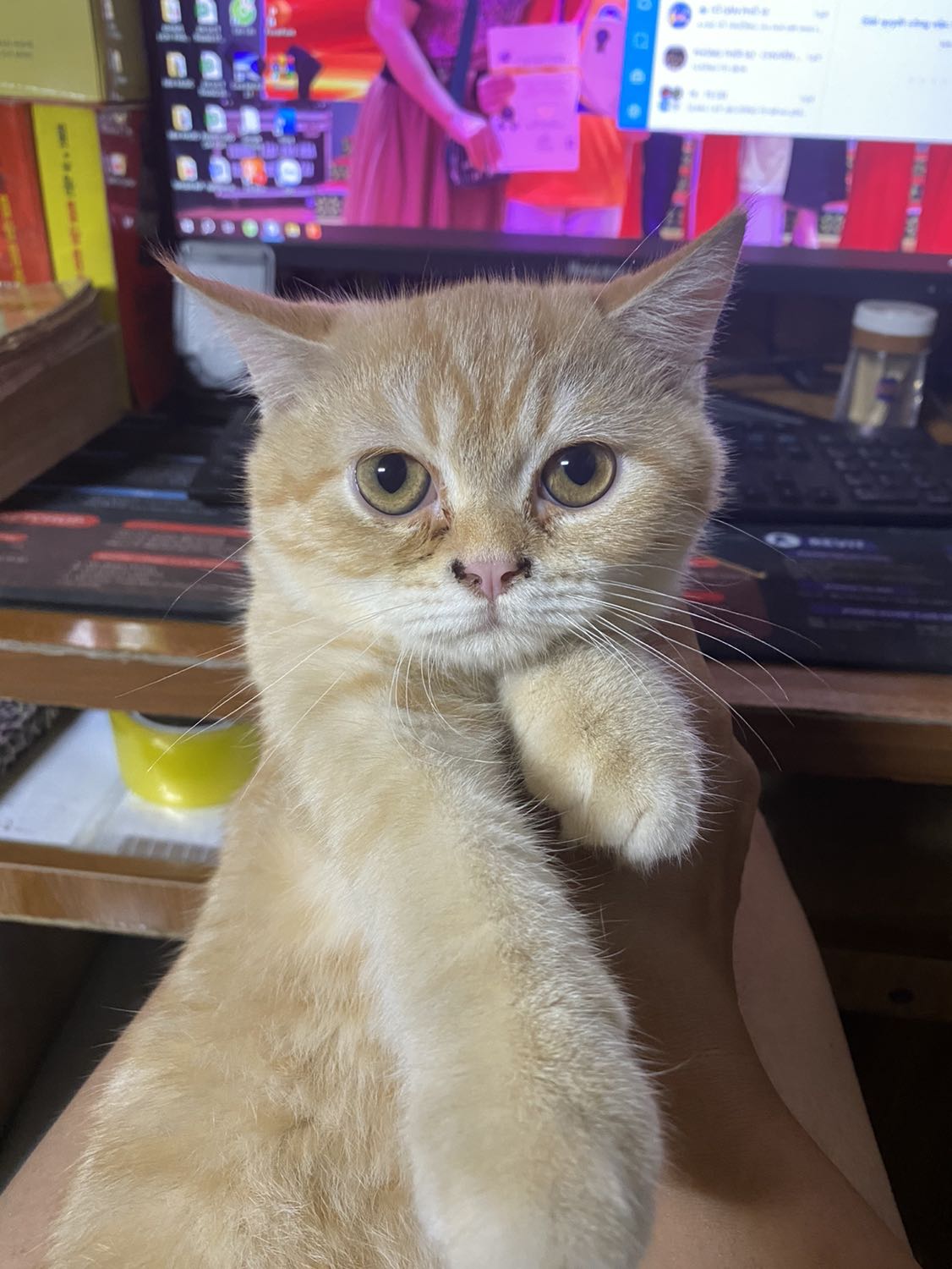 Ngon bổ rẻ đẹp