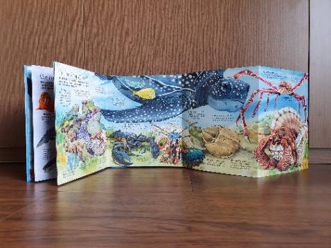 Bọn trẻ con nhà mình mở sách ra, để bên người khi đi ngủ. Nghe một câu chuyện trước khi ngủ về các loài động vật như trong sách ... Chắc có giấc mơ đẹp :)