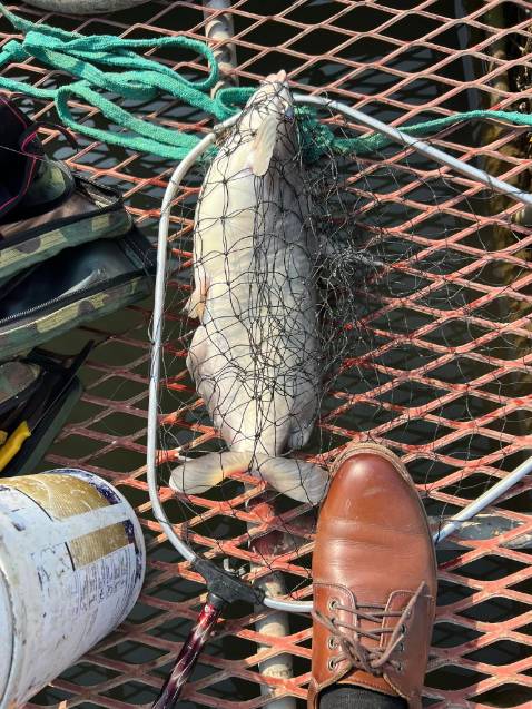 chất lượng sản phẩm cũng ok mỗi tội hơi nặng một xíu mong nhẹ hơn