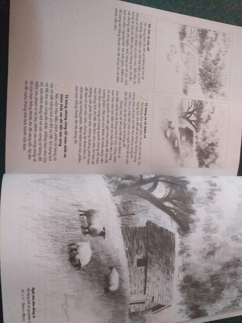 giao hàng nhanh hơn dự kiến. giá rẻ sách sinh động. dễ học cho ng mới bắt đầu học vẽ kiến thức cơ bản