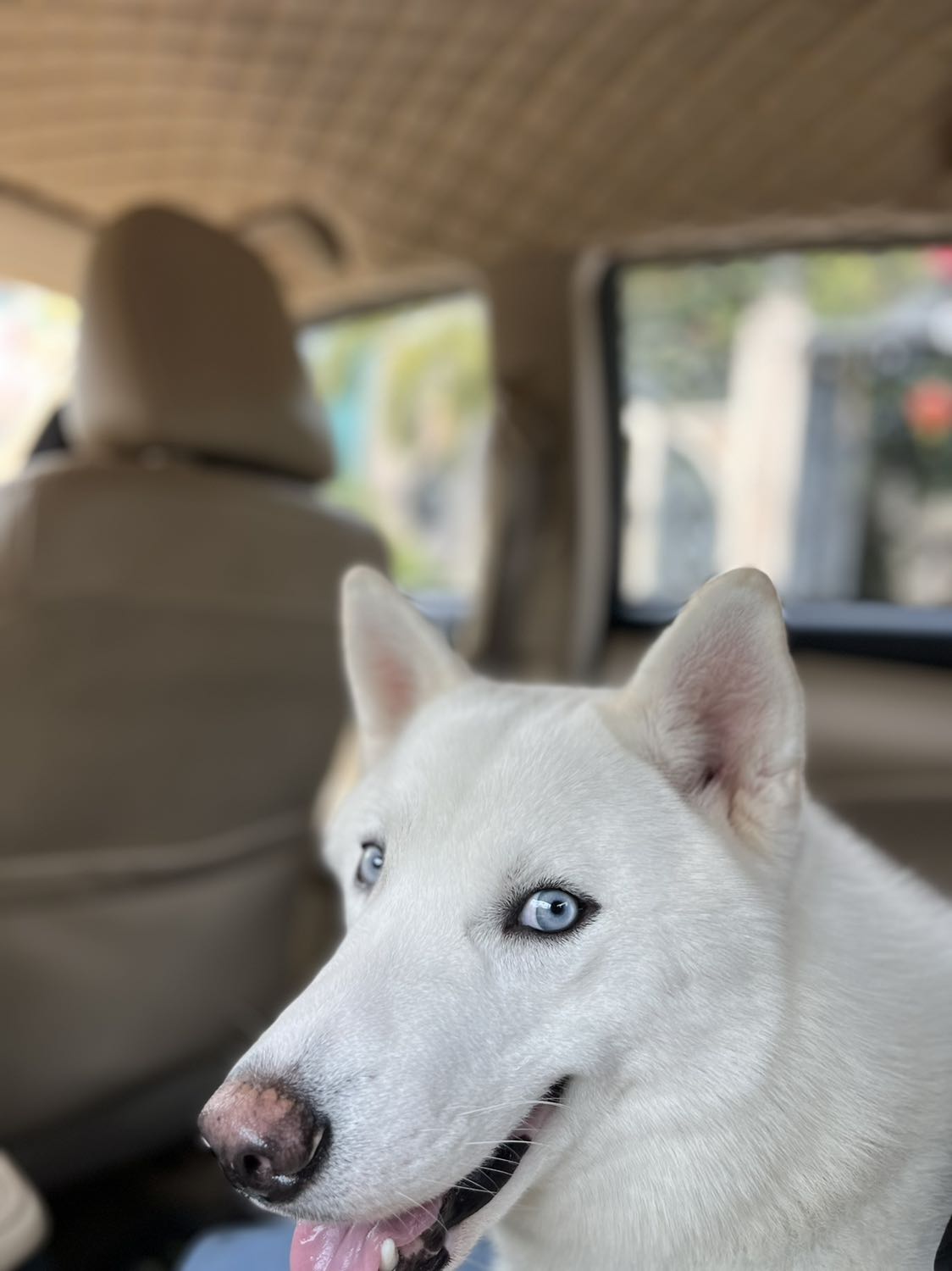 Đo rất chính xác Đo rất chính xác