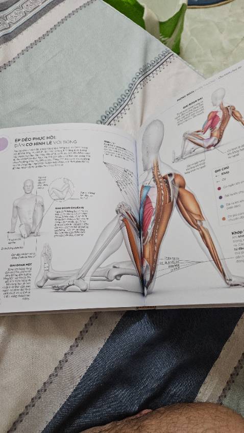 Tiki giao nhanh, giá rẻ, sách được bọc kĩ, gọn, nội dung có hình ảnh minh họa khoa học.