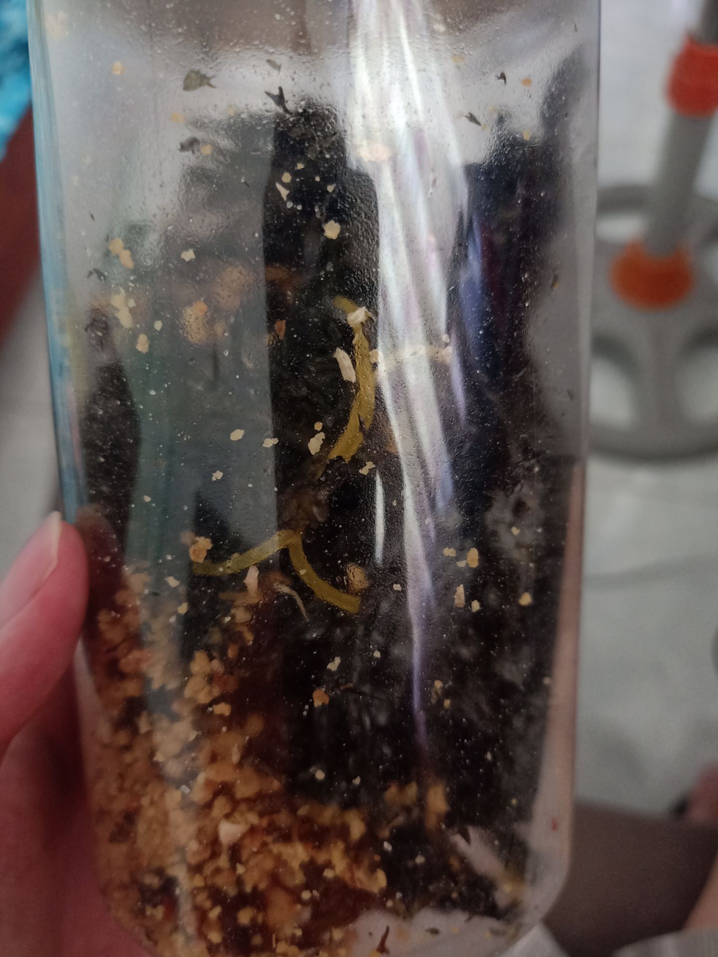 Cái gì đây??? Cả cọng thun trong hộp?