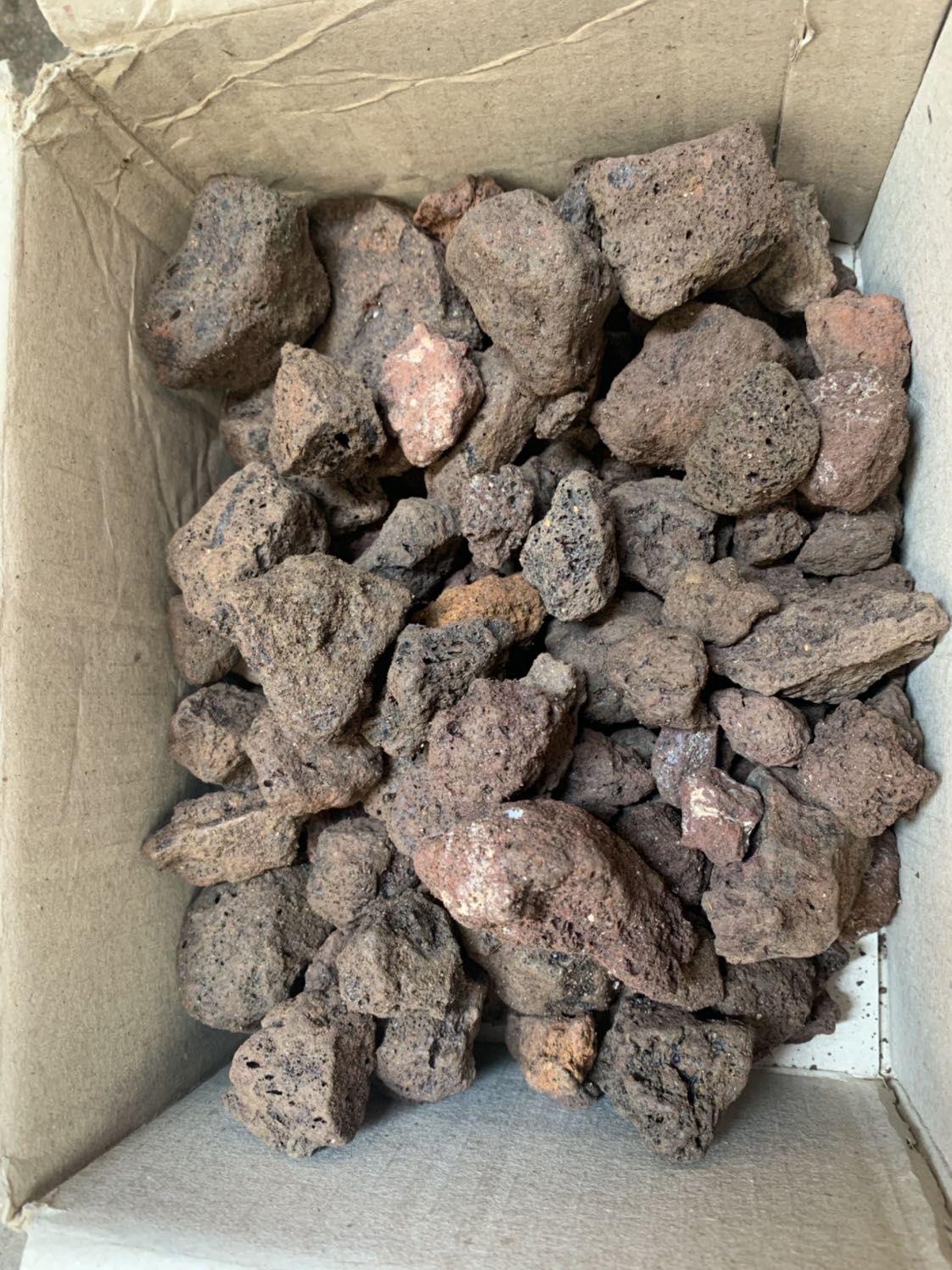 Shop này tệ thật. Đã có đánh giá là đá có rất nhiều bùn đất bám vào và không để khô. Có thể shop để nhiều bùn đất và ướt để tăng cân nặng lên. Làm ăn thật sự không có tâm chút nào.
Cho 3 * là dành cho anh shipper thôi. Shop xhar đk * nào đâu. Thất vọng quá.
Ps: Trồng rau đô thị