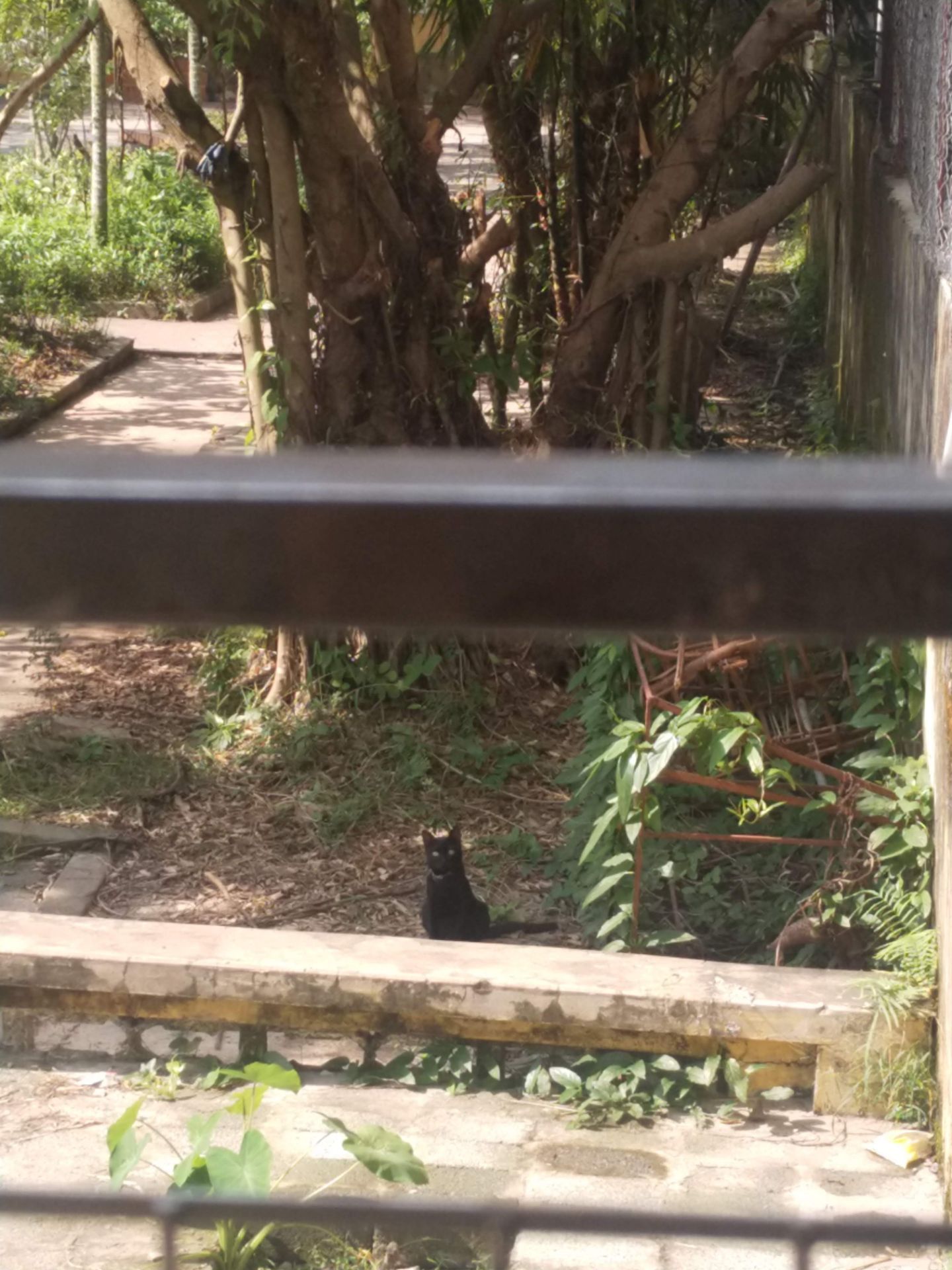 Đã nhận được sách rất nhanh, đóng gói, bảo quản tốt. Mình mua vì sách đc sale off giá khá tốt, nên 3, 4 cuốn về để dành đọc Tết. Chắc sẽ quay lại review nd sách sau