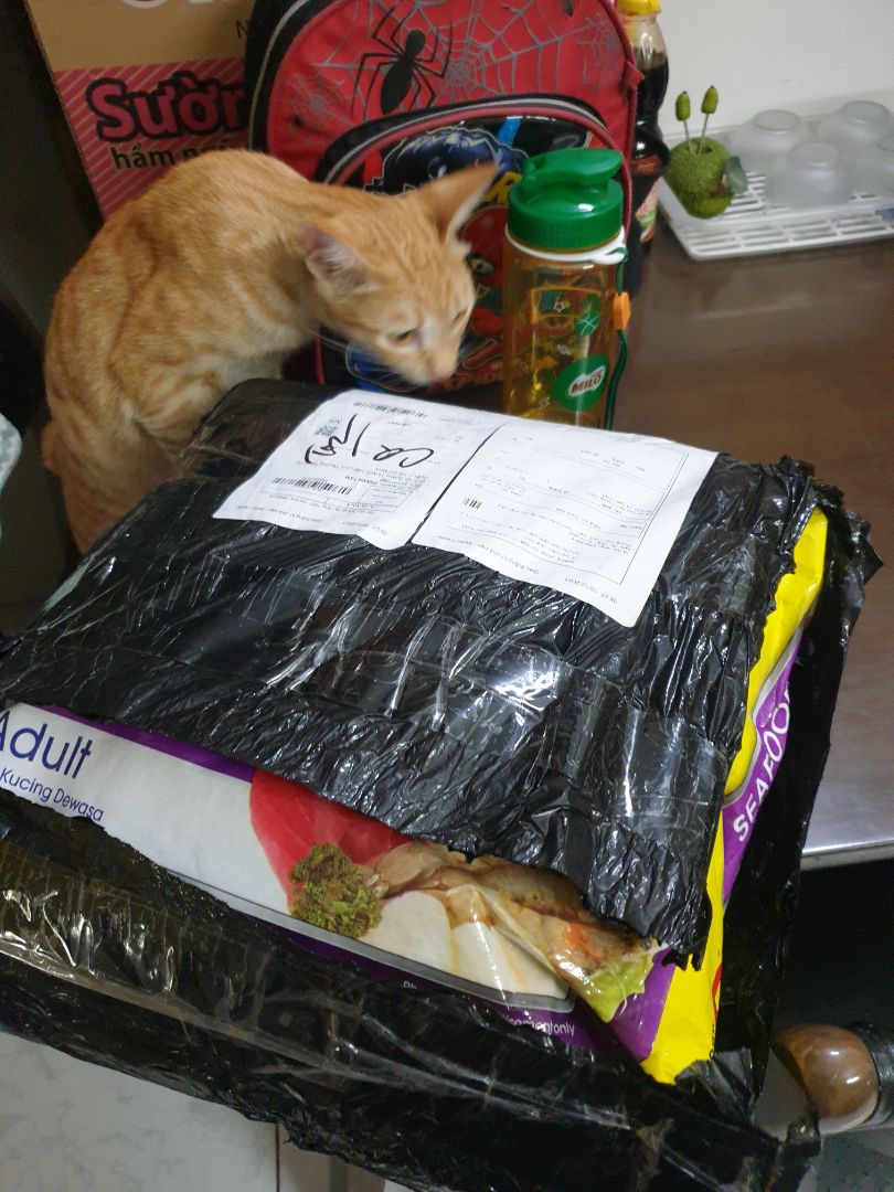 hạt này và catrang thấy giá tốt nhưng chất lượng ok. mèo khoái khẩu. me_0 có 3 vị nên thay đổi khẩu vị cũng ok. hạt này và catrang thấy giá tốt nhưng chất lượng ok. mèo khoái khẩu. me_0 có 3 vị nên thay đổi khẩu vị cũng ok.