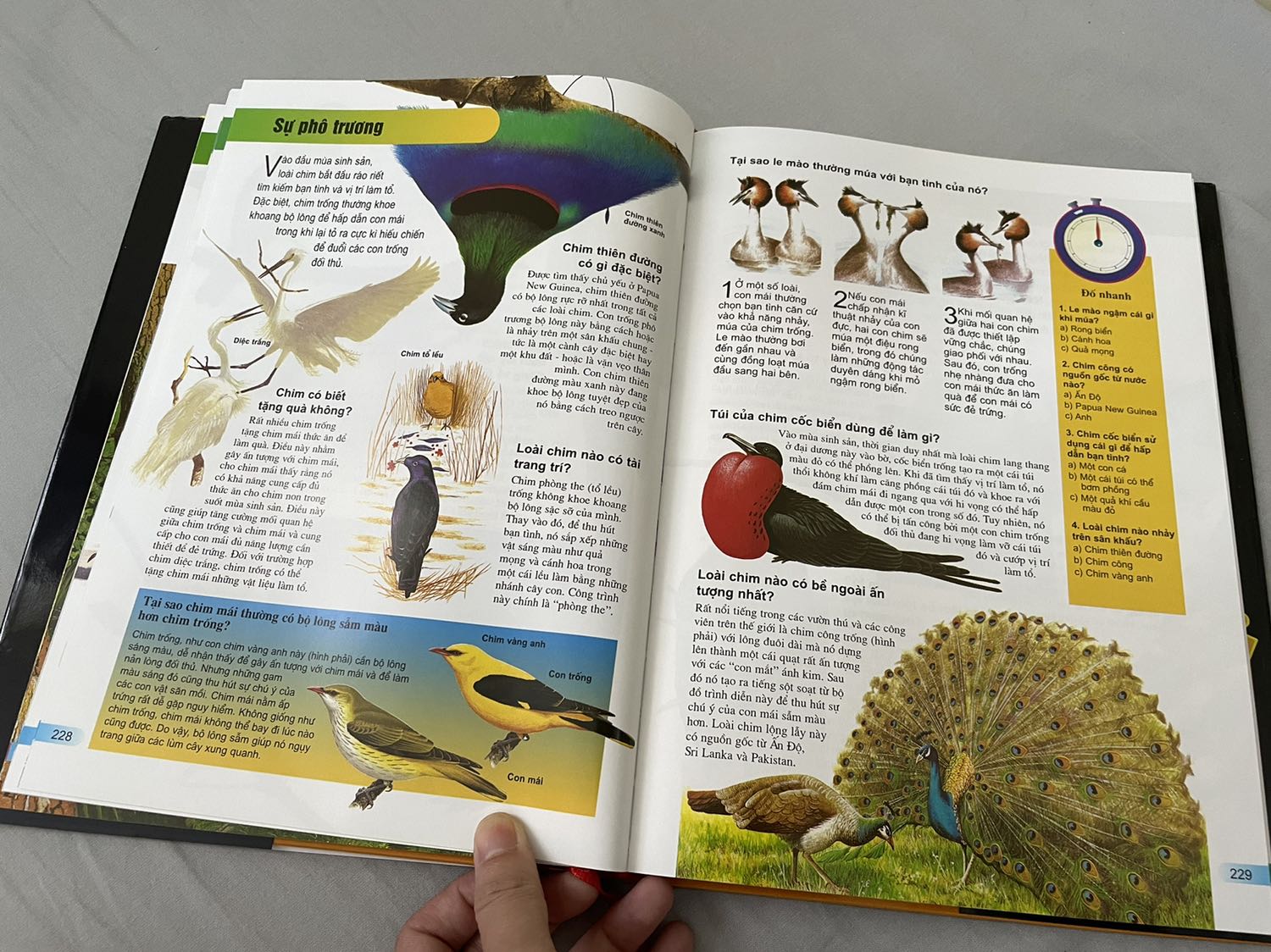 Sách to, dày, chất lượng giấy xịn xịn mà hình ảnh minh hoạ nhìn rất thích luôn. Người lớn nhìn còn thích huống chi là con nít. Bé cháu mình rất thích, cứ lật ra hỏi đủ thứ