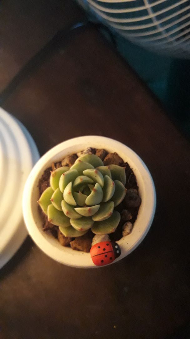 sách được đóng gói cẩn thận ạ