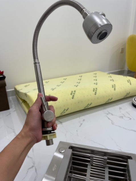 Voi cầm chắc chắn nhìn bên ngoài rất đẹp