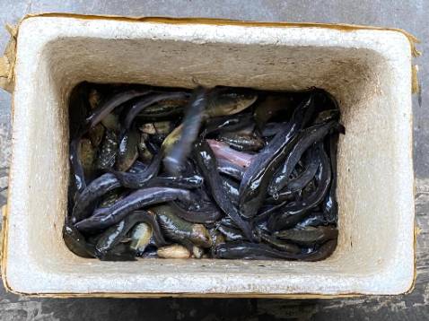 Đẹp đáng giá tiền