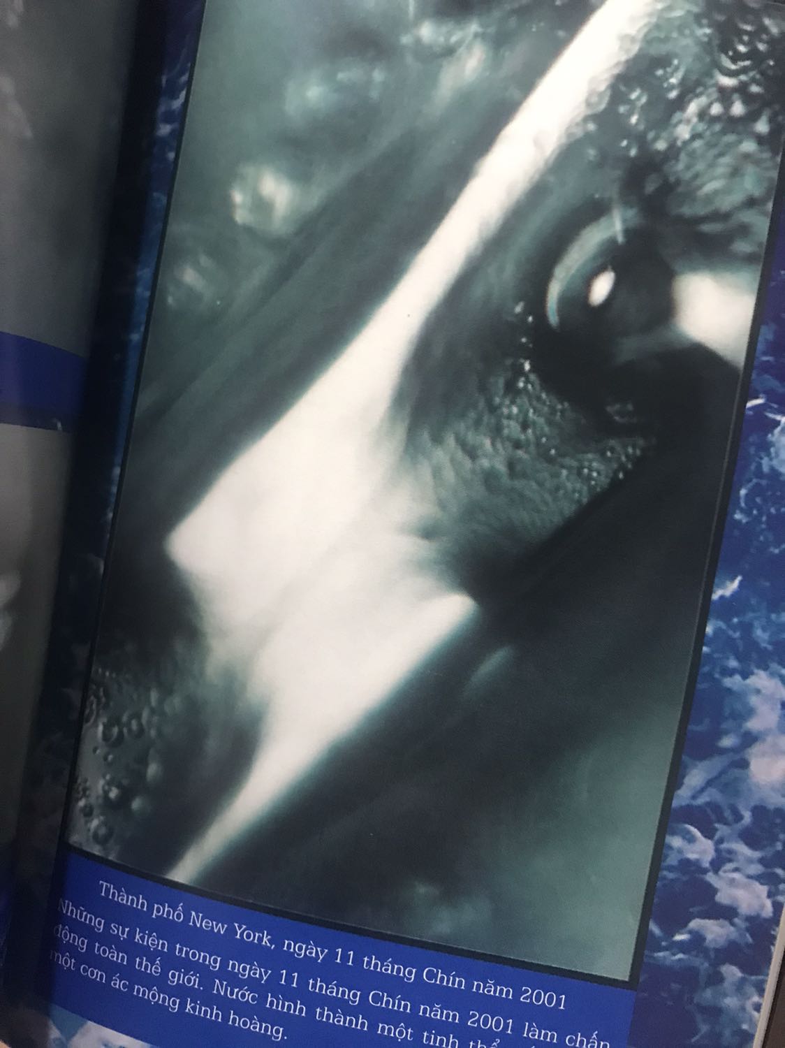 Trước tiên thì nói qua một chút thành tích của sách. Đây là cuốn sách bán chạy do New York Times bình chọn, được dịch ra 24 ngôn ngữ, bán hơn 1 triệu bản trên toàn thế giới. Trước đấy tác giả cũng có cuốn sách “Thông điệp của nước” với thành tích khủng không kém.

Quả thực không phải tự nhiên mà sách lại nhận được sự đón đọc của nhiều độc giả như vậy. Chúng ta ai cũng uống nước mỗi ngày nhưng không phải ai cũng hiểu hết được tác dụng, những bí mật mà nước mang lại cho chúng ta. Nước mang theo toàn bộ lịch sự cùng vẻ đẹp phi thường của mình cũng như chúng ta mang theo toàn bộ lịch sử của con người. Qua cuốn sách, tác giả đã đem đến cho người đọc cuộc hành trình đầy ấn tượng của nước trên Trái Đất và tiết lộ những bí ẩn của nước đầy hấp dẫn.

Những gì được viết trong sách không chỉ giúp cho chúng ta hiểu biết thêm nhiều kiến thức mà còn mang tới cho người đọc sự nhẹ nhàng nhưng đầy vi diệu của nước qua lối viết của tác giả. Và khi đọc tới nửa cuốn sách mình mới phát hiện ra một phần nội dung trong sách đã được đưa vào phần đọc hiểu trong cuộc thi THPT Quốc Gia năm 2021 vừa qua. Một cuốn sách phải có sức thu hút như nào mới được đưa vào đề thi như thế nhỉ ^^