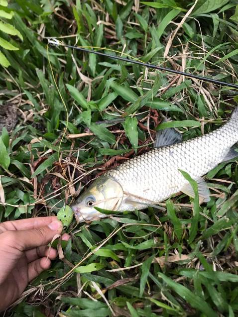 Sảnbphaam rdidngs mô tả, giao hàng nhanh, sẽ ủng hộ tiếp