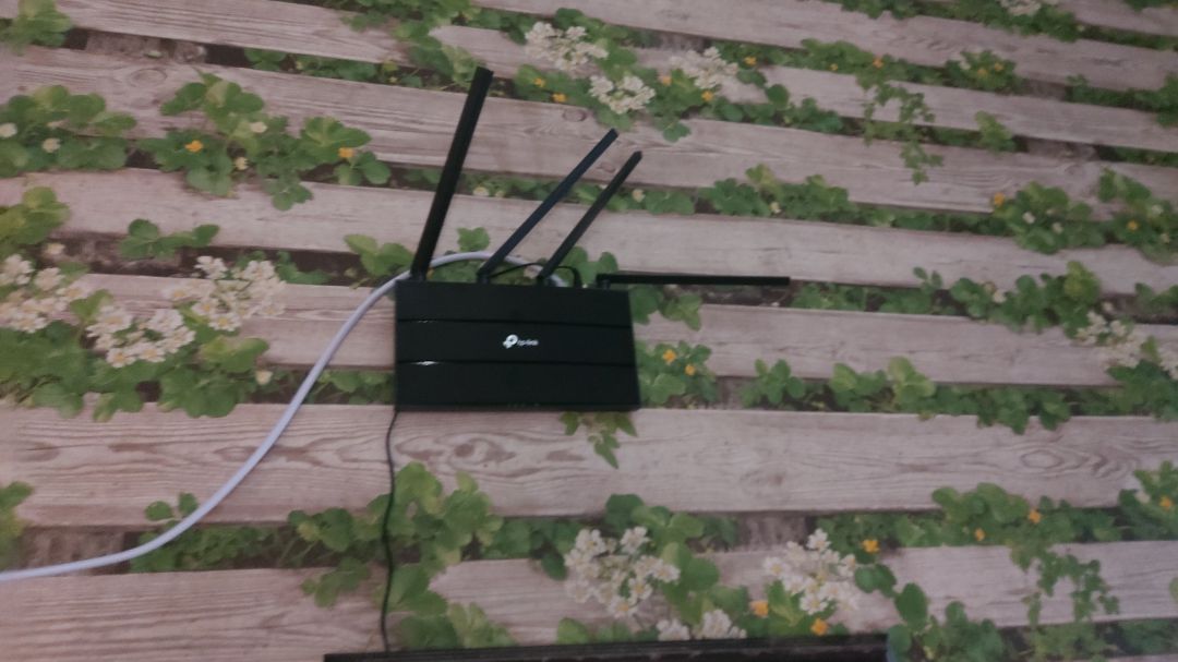 Mạnh, dễ set up, đẹp và dễ sài nữa. Shop giao hàng nhanh mặc dù là CN. Shop phản hồi cũng tích cực nên cho 5*