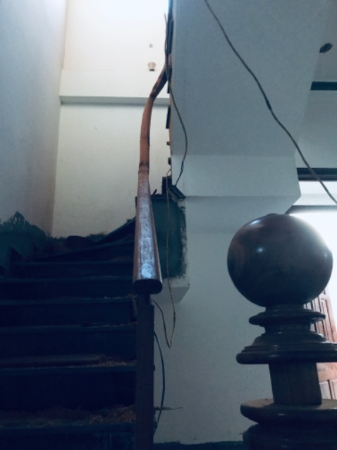 Hai cái bát sen nhìn vui vui