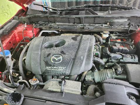 Dao đẹp mà chưa dùng nên không biết là có bền không nữa