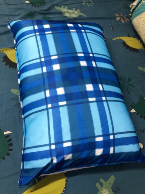 Mình mua ở Tiki rẻ hơn các chỗ khác. 
Gối rất êm, độ đàn hồi tốt. Có khoá kéo để có thể thêm bớt ruột gối rất tiện lợi. 
Shop còn chu đáo tặng một cái vỏ gối kèm theo nữa!