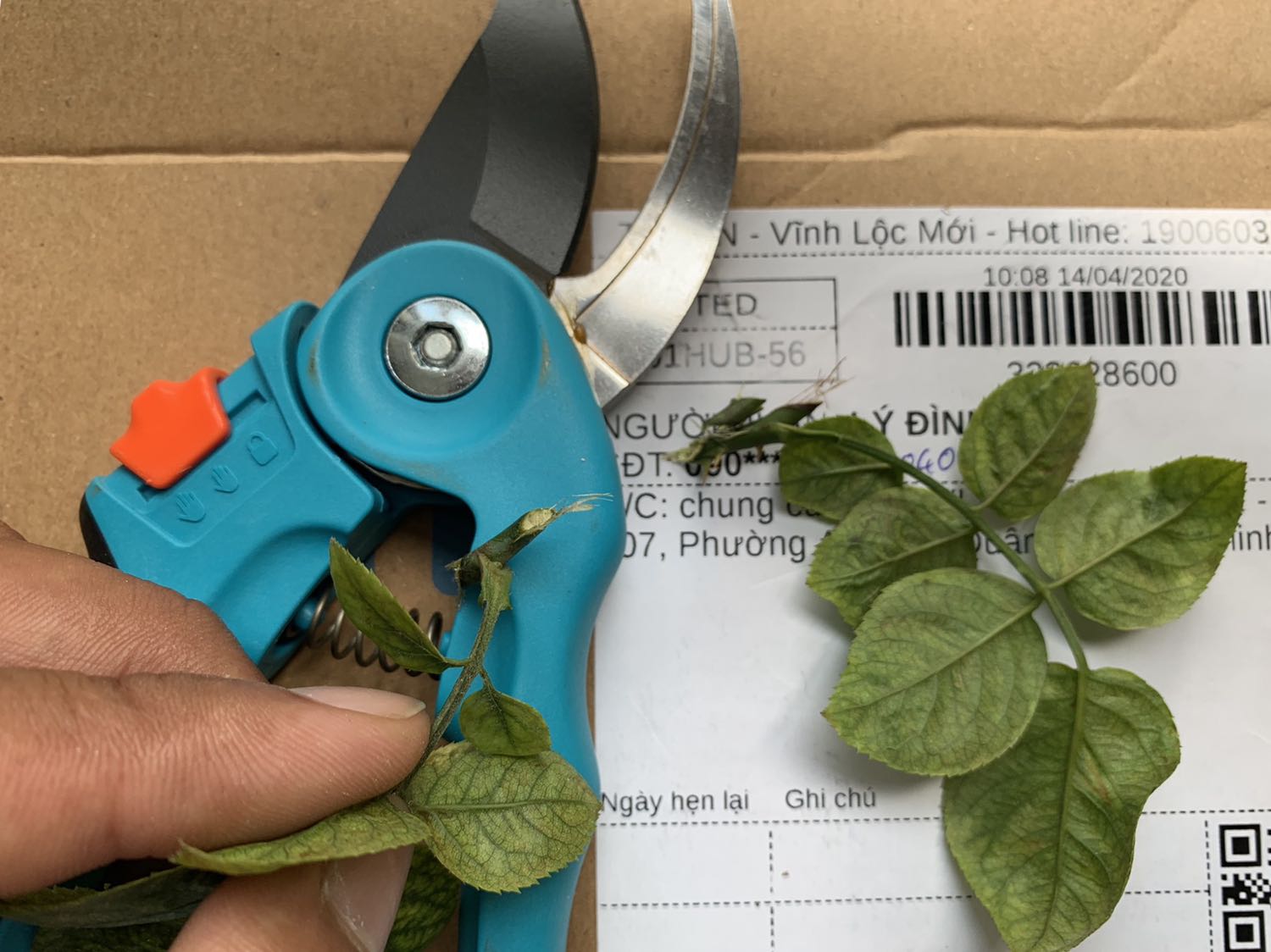 xin chào, tôi nhận được hàng Tiki đóng gói cẩn thận, cũng không xa lạ gì vì tôi mua rất nhiều đồ trên Tiki, khui ra cắt thử thì lục thế này. Mong nhận phản hồi bên Tiki