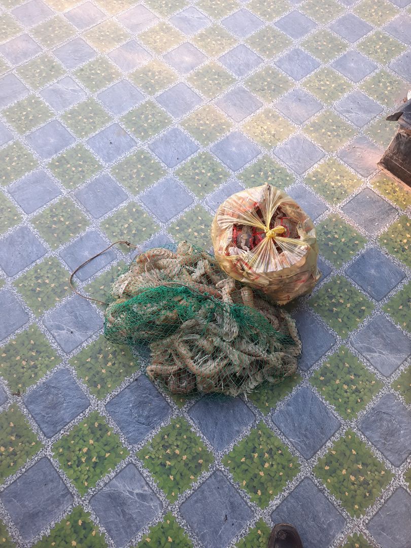 Cây này tạm ổn cũng được