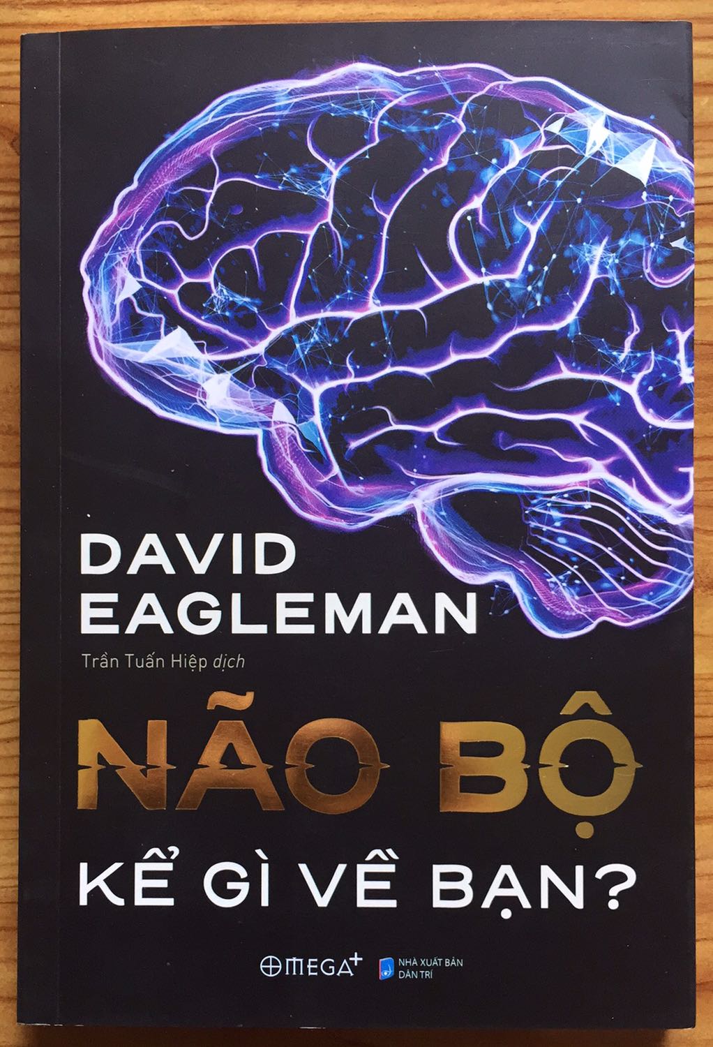 Cuốn sách tuyệt vời về não bộ và thần kinh được viết với văn phong gần gũi dễ tiếp cận với người đọc, các vấn đề về hệ thần kinh như quy luật về suy nghĩ và hành vi được mô tả rõ nét theo các chương sách. Bố cục sách tương đối mạch lạc và liên hệ với nhau, trước mỗi chương sách có phần dẫn nhập khơi gợi người đọc khám phá từng nội dung tương ứng với các đặc tính của não bộ.