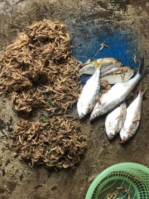 Sản phẩm tốt mà tay chắc lắm